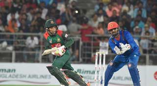 জয়ে বেঁচে থাকা, হারলে সিরিজ লজ্জা