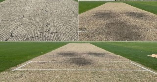 উইকেট নাকি ধান ক্ষেতের জমি!